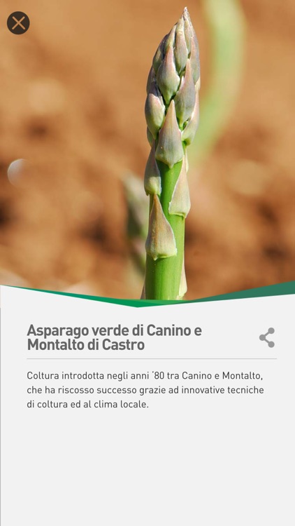 Lazio - Terre dell'Olio screenshot-4