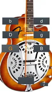 dobro tuner simple iphone images 1