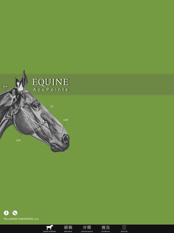 Screenshot #4 pour Equine AcuPoints