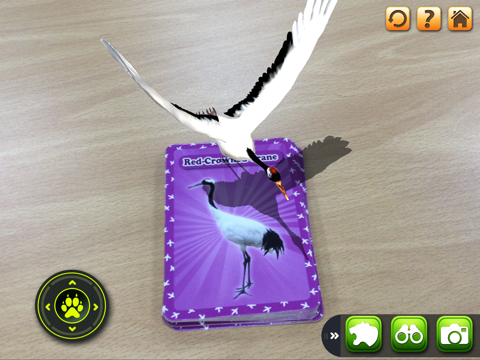 Screenshot #6 pour 3D LEARNING CARD BIRDS