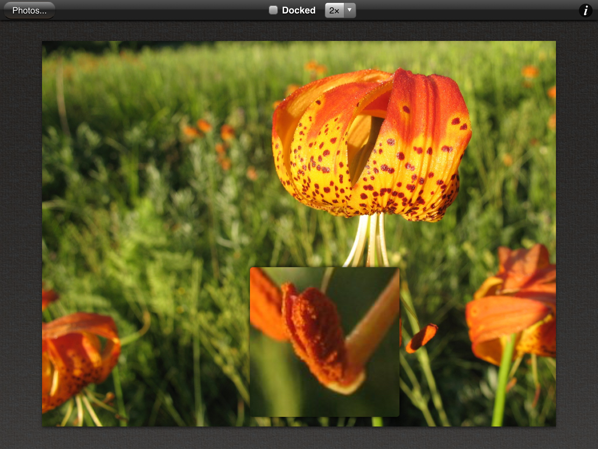 Photo Loupe Free