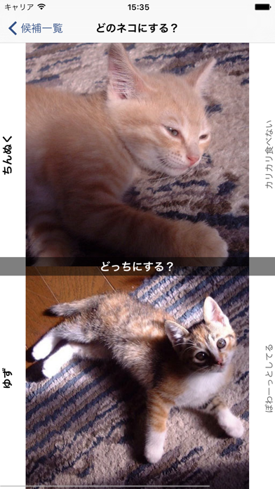 どれにする? のスクリーンショット