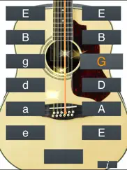 12-string guitar tuner simple ipad images 2