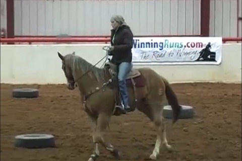 Horse Training Techniques screenshot 4