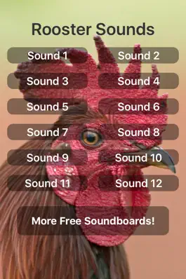 Game screenshot Rooster Sounds mod apk