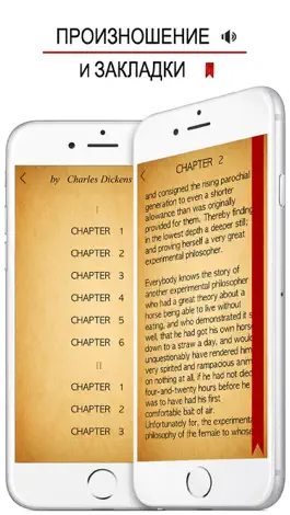 Game screenshot Dickens Books apk