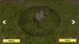 Game screenshot Sniper Hunter Wild Beast Jungle Shooting Deer, Boar, Fox, Bear & More 3D hack