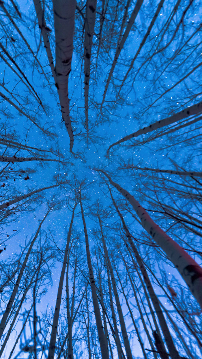 Live Wallpaper Collection - Photo Video HD for Lock Screen