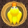 Amazing Bird Nest Jumper Pro - new fast racing arcade game