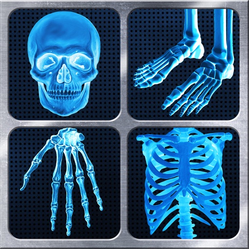 X-Ray Full Body Prank icon