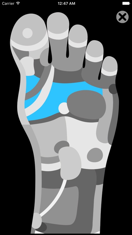 Reflexology Charts screenshot-3
