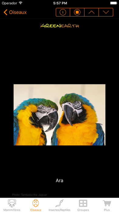 Bruitages d'animaux - Animal Chatter Pro Bruitages d'animaux - Animal Chatter Pro