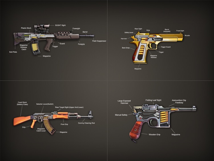 Gun Works Pro for Works, open gun, gun theory screenshot-0