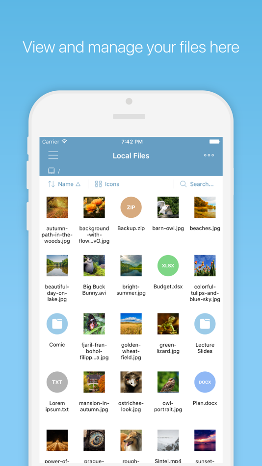 #1. File Manager Plus (iOS) 由: Sin Yee Fan