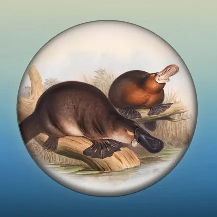 Field Guide to NSW Fauna Читы