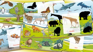 Вундеркинд - мир животных, познавательные игры с детьмиのおすすめ画像5