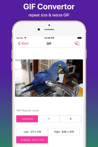 Video to GIF Convertor Pro - náhled