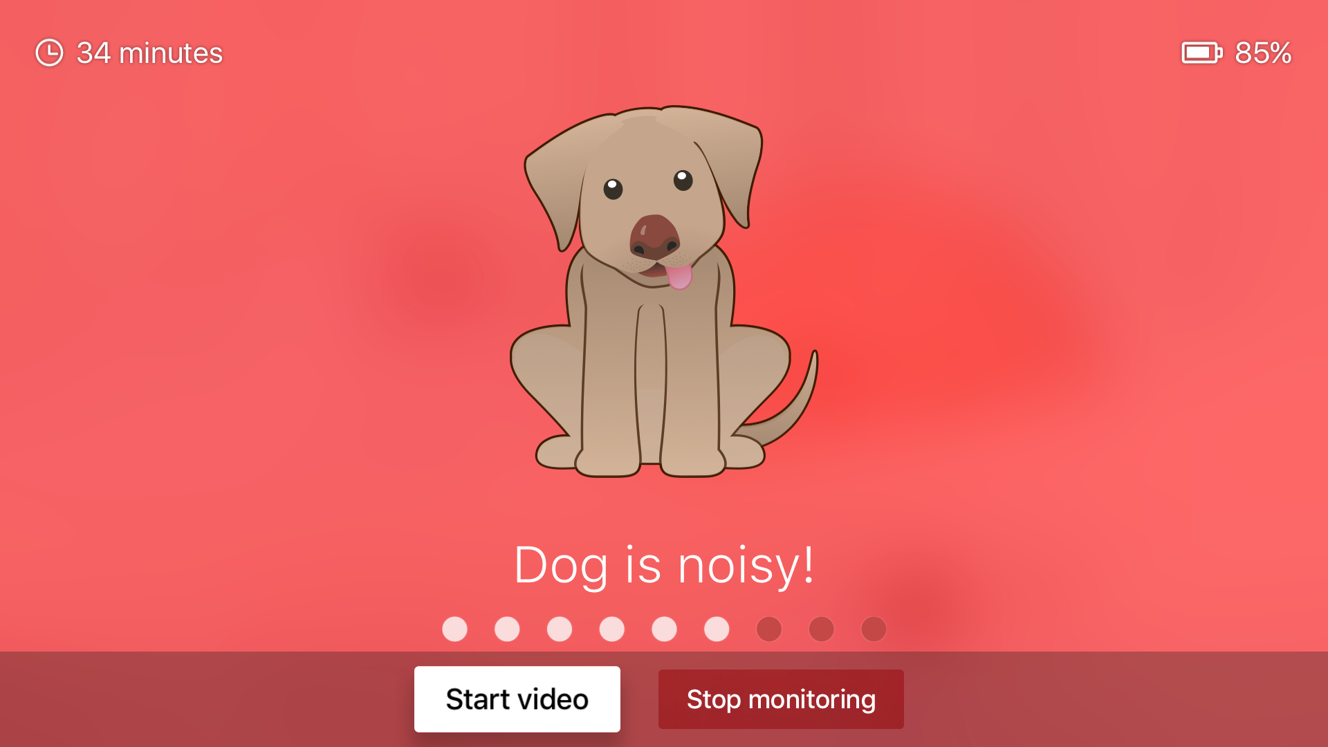 Dog Monitor