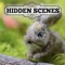 Hidden Scenes is a game similar to a jigsaw puzzle where you swap and flip the pieces to reveal the hidden scene