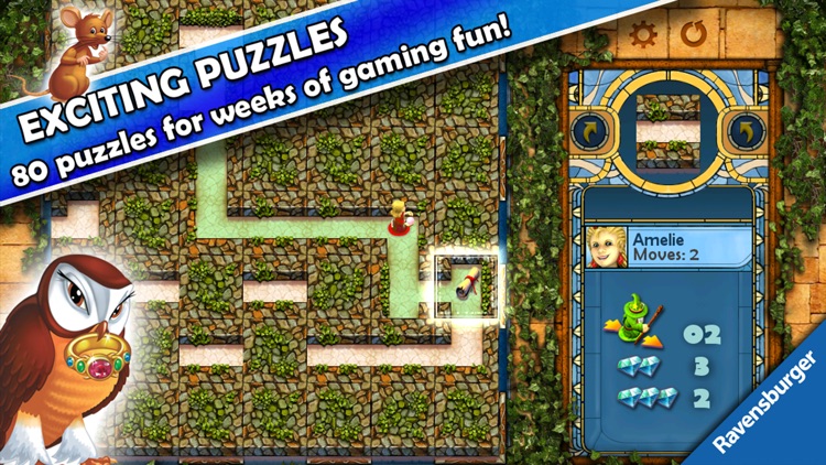 THE aMAZEing Labyrinth screenshot-3