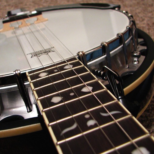 Banjo Player icon
