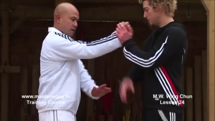 Teach Yourself Wing Chun Skills screenshot-4