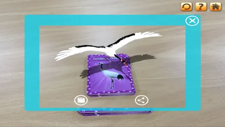 3D LEARNING CARD BIRDS