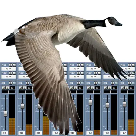 Goose Call Mixer Читы