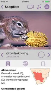 Sasol Soogdiere vir Beginners (Lite): Blitsfeite, foto's en video's van 46 Suider-Afrikaanse diere screenshot #2 for iPhone