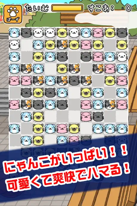 ねこあわせ。