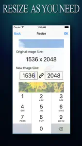 Image Resizer ADVANCED - Photo Resize Editor To Reshape pictures and Photos screenshot #3 for iPhone