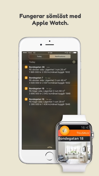 Till Salu screenshot-3