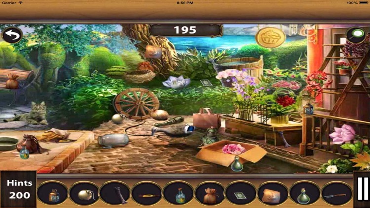 Village Adventure Hidden Objects