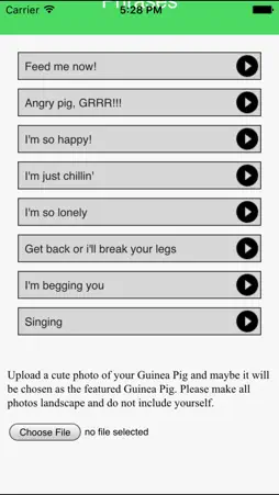 Guinea Pig Communicator screenshot 2
