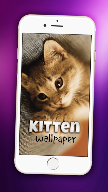 Pretty Kitten Wallpaper – Cute Baby Pet Lock Screen Theme & Adorable