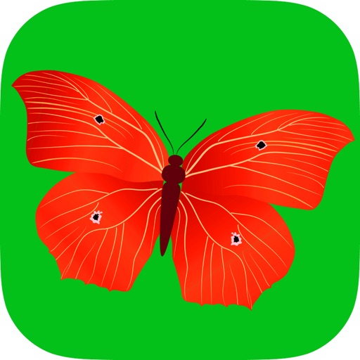 Butterfly Puzzle Game for toddlers HD - Sorting & Matching Jigsaw Puzzles games for little kids boys and girls age 3 + Icon