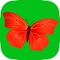 Butterfly Puzzle Game for toddlers HD - Sorting & Matching Jigsaw Puzzles games for little kids boys and girls age 3 +