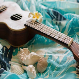 Old Love & Romantic Songs