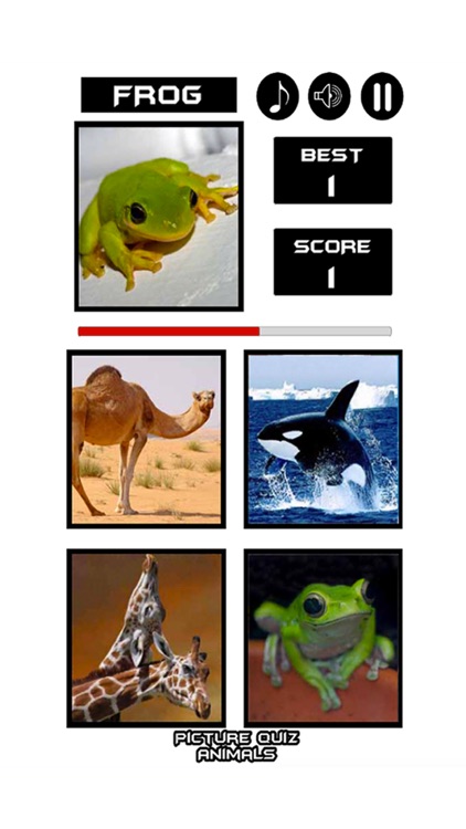 Picture Quiz Animals -  Free funMind Teaser game