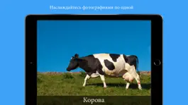 Game screenshot Фотоальбомы для детей hack