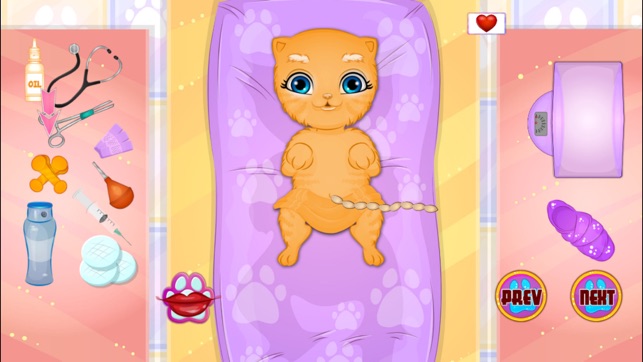 Pet Become Cute Mom(圖3)-速報App