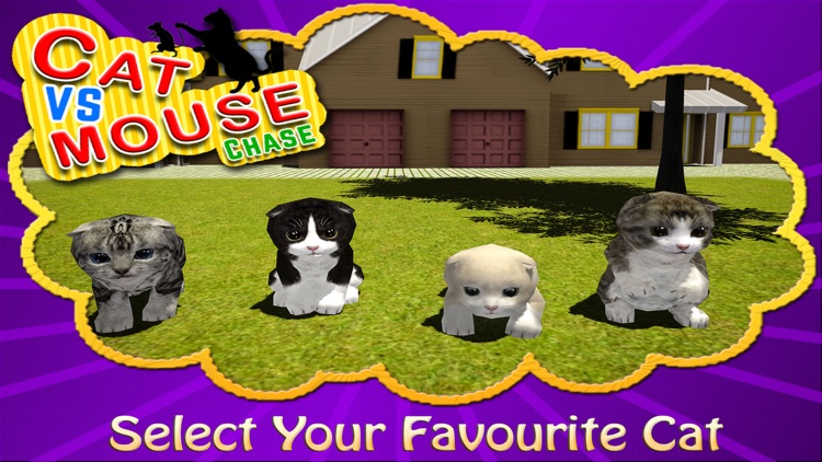 Cat vs Mouse Chase Simulator 3D screenshot-3