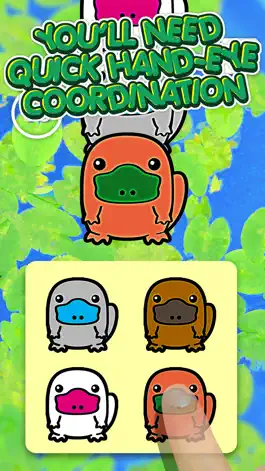 Game screenshot Platypus 100 Mini Adorable Animals Friends | A Matchup Challenge Gamebattles hack