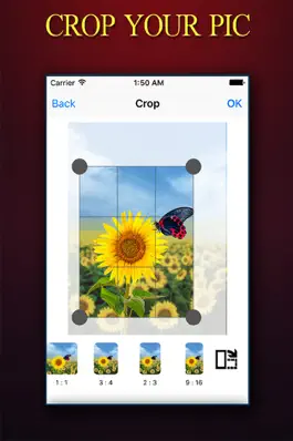 Game screenshot PHOTO CROP ++  Photo Crop Editor With Extra Tools apk