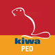 Kiwa Inspecta PED Calculator