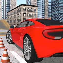 Multi Desert City Level Luxurious Cars Parking