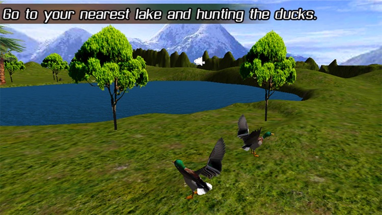 Duck Hunting Light-3D
