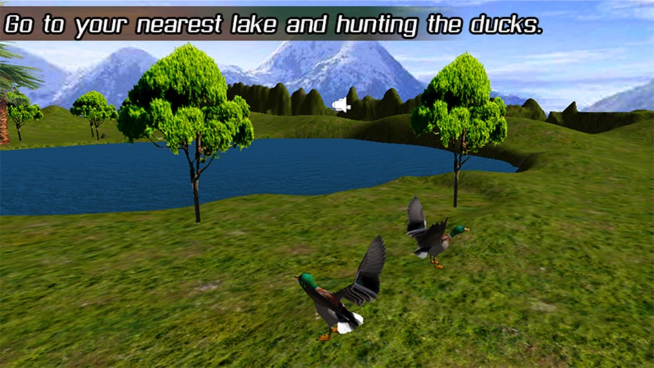 Duck Hunting Light-3D - 1.0 - (iOS)