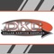 Dallas Karting Center Mobile Application is a Global Ranking App for Racers