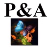 P&A Imaging